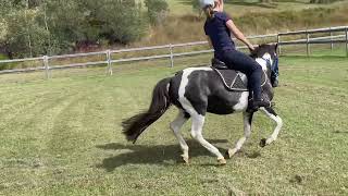 Forestway Minstrel flatwork