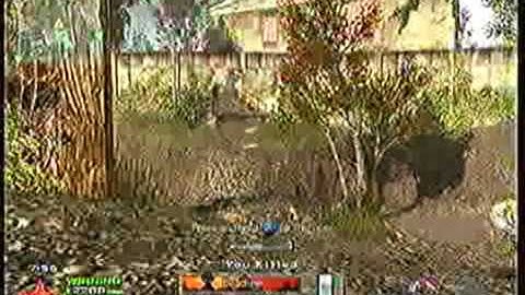 Modern Warfare 2: 24-7 TDM Overgrown Using Intervention