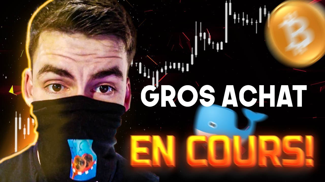 Bitcoin: Grosse accumulation en cours! 🐳