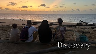 Vlogi Dauphine And Turtles