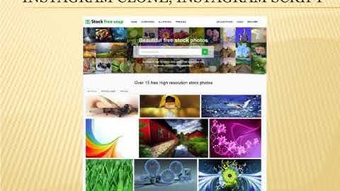Flickr Script   Instagram Clone script   Instagram Clone   Instagram Script