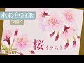 【人気ダウンロード！】 ��鉛筆画 桜の 木 イラスト ���単 手書き 411577