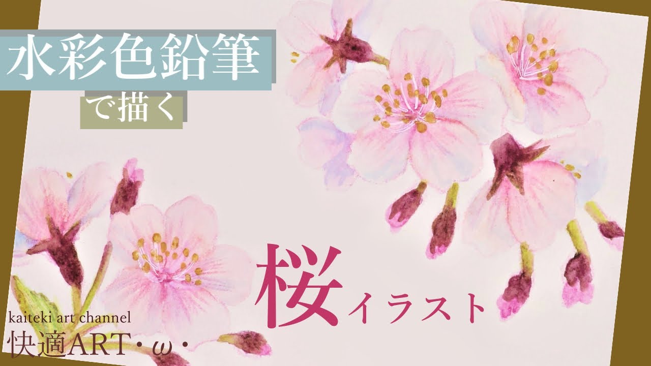 水彩色鉛筆 桜のイラストポストカードを描く 初心者向け簡単