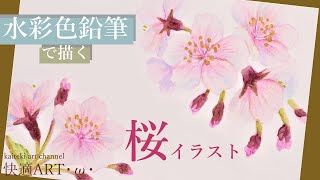 水彩色鉛筆 桜のイラストポストカードを描く 初心者向け簡単かわいい絵の描き方解説 How To Draw Flours With Watercolor Pencils Youtube