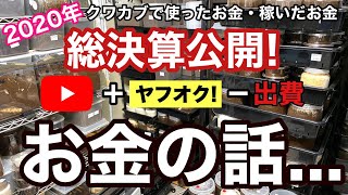 【収益公開】2020年の収益と支出を公開します！【クワガタ飼育】