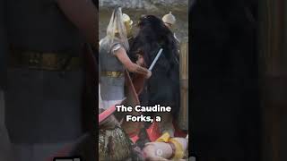 Treachery In Roman Ranks The Samnite Geniusness