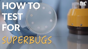 How to test for Superbugs | Experimental Design & Troubleshooting