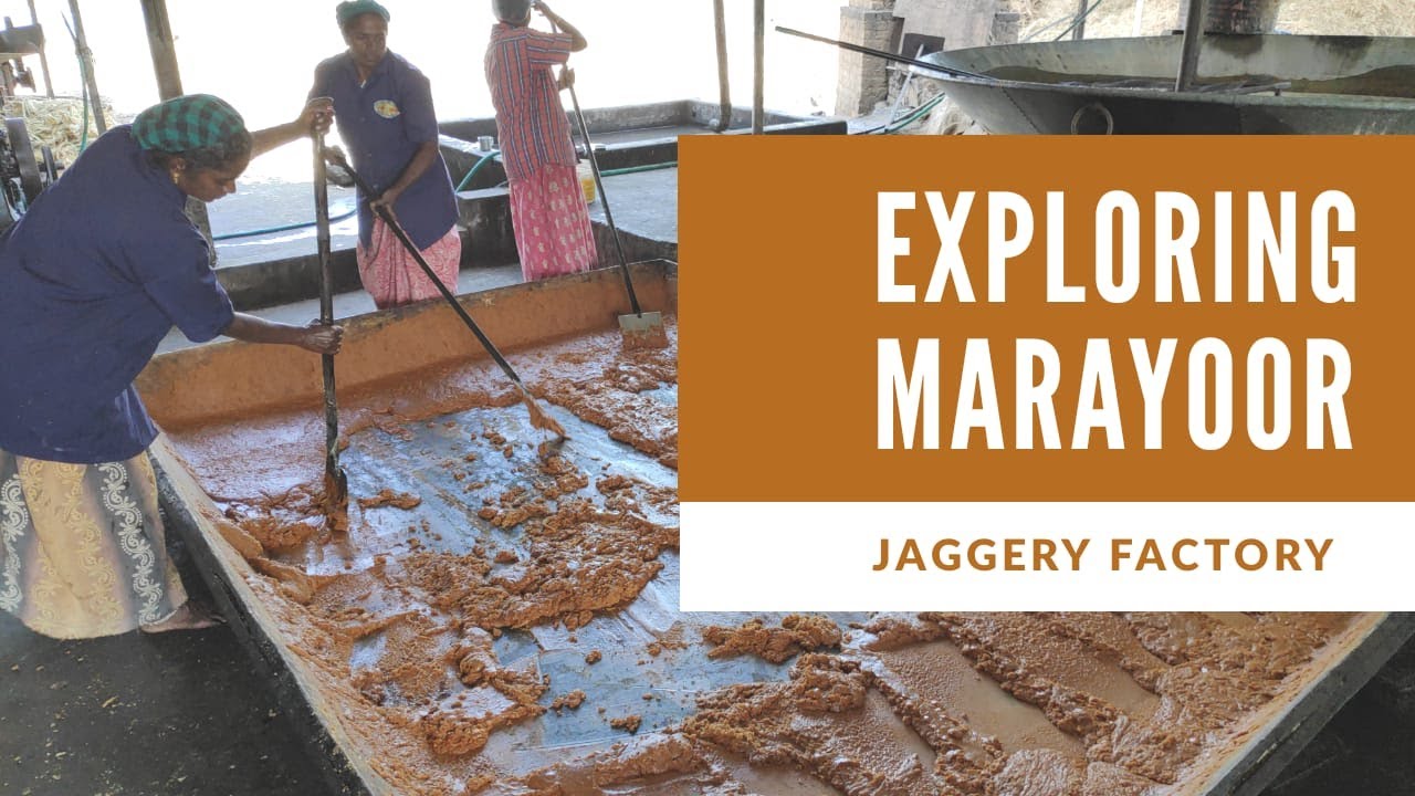 MESSA (GI TAG) - Marayoor Jaggery Industry, Kerala