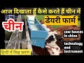 चीन में डेयरी फार्म dairy farm technology in china || Living in China Niranjan || indians in china