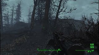 Fallout 4 Rad Chicken
