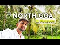 Monsoon Magic in North Goa 🌧️ | My Dream Bucket List Trip!