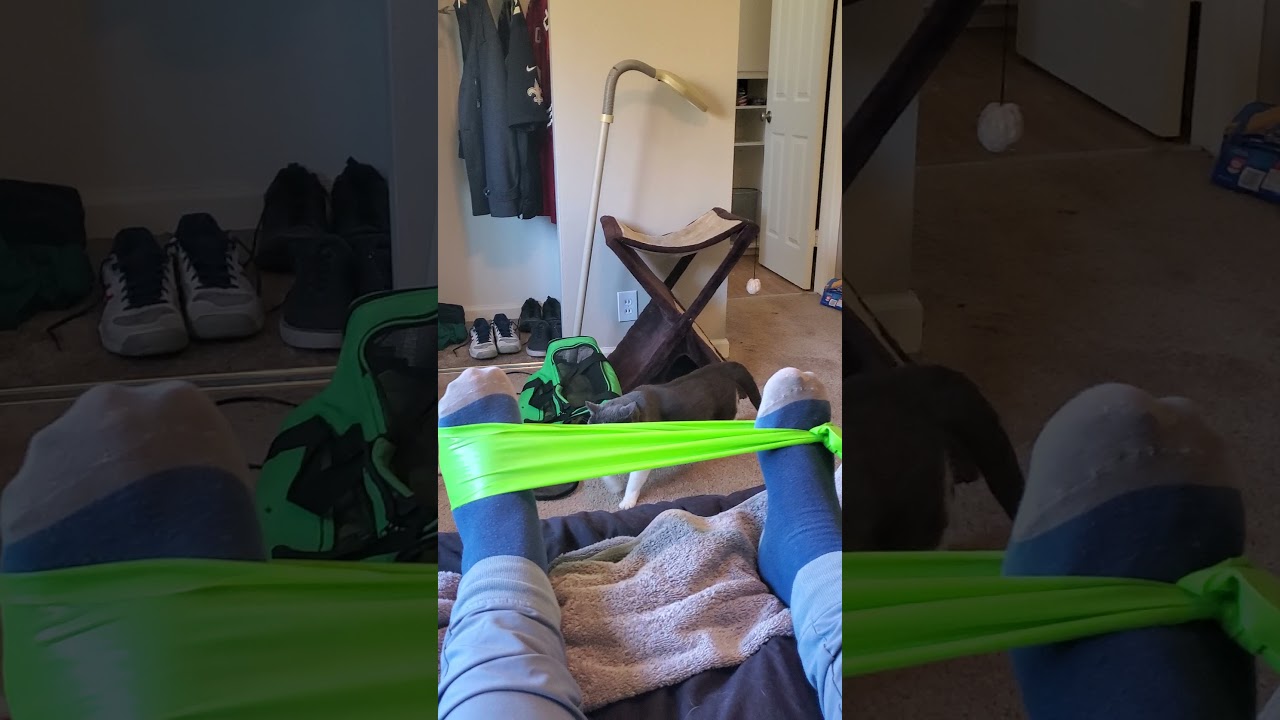 Physical Therapy with Cat in Room 🐱🦶