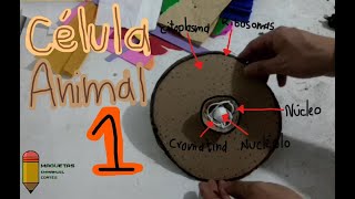 Célula Animal 1 (maqueta de papel)