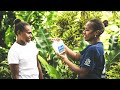 World mosquito program  100change finalist