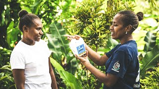 World Mosquito Program | 100&Change Finalist