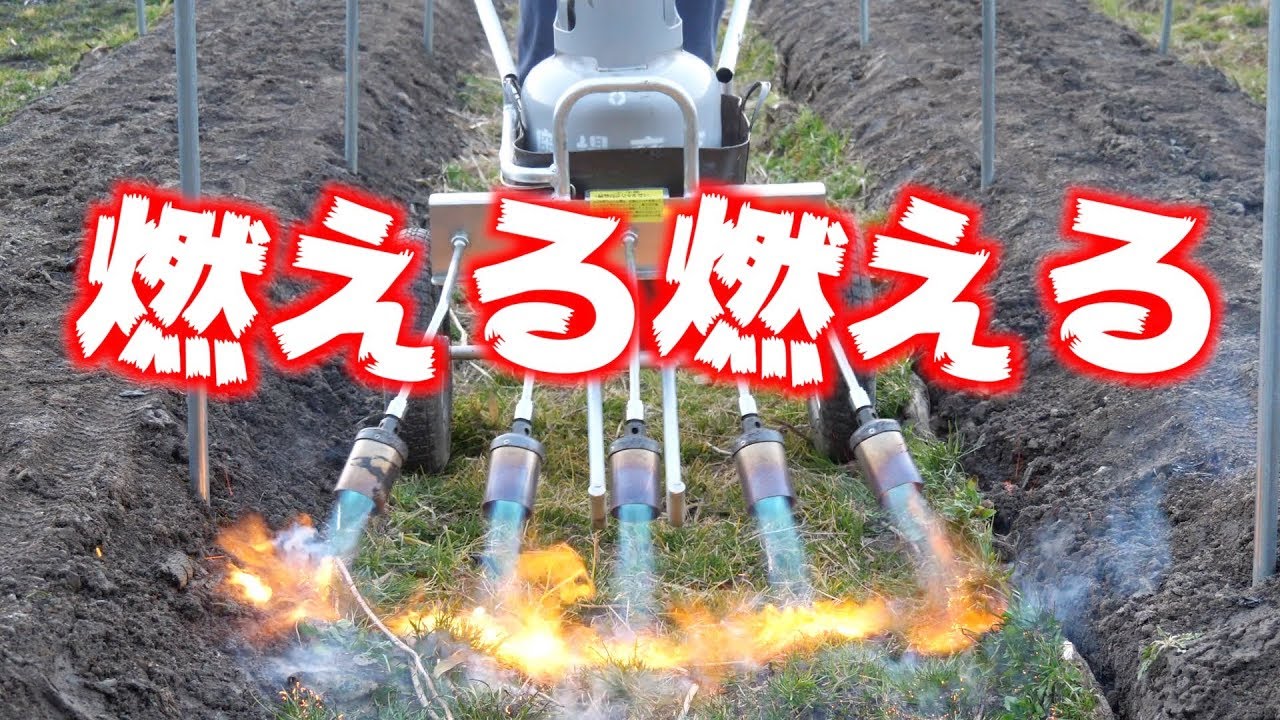 草焼きバーナー▲アスパラ！胡瓜！ナス！野焼き！除草に！農業！農機具！ 3/4 Asparagus ridge grilling continued #318 - YouTube
