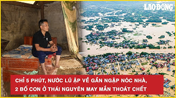 Nóng hôm nay: Chỉ 5 phút, nước lũ ập về gần ngập nóc nhà, 2 bố con ở Thái Nguyên may mắn thoát chết