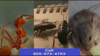 Pest Control Medway - Exterminators Ma 02053