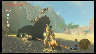 Zelda Breath of the Wild Lynel Farming Live