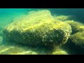 Подводный мир Актауского побережья Каспийского моря