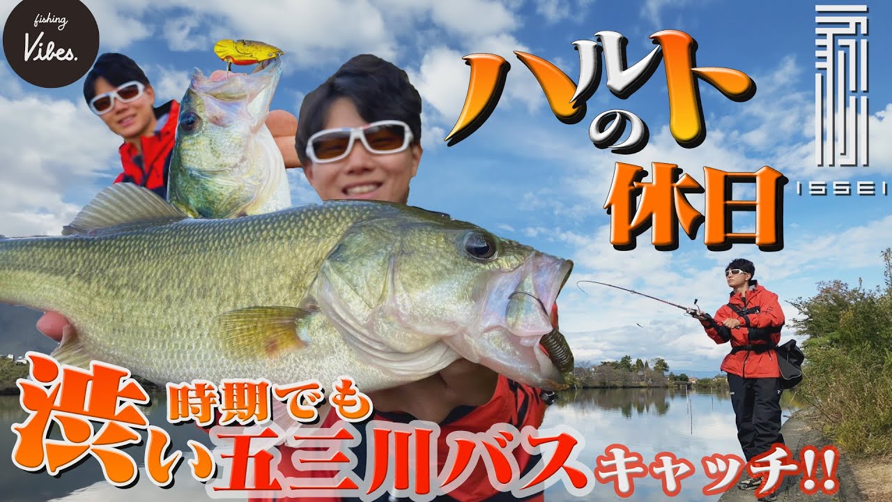 【fishing vibes】渋い時期でも五三川バスキャッチ!!ハルトの休日