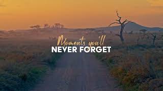 Moments You'll Never Forget - Phil Hoffmann Travel