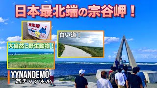 【稚内観光】野生動物がたくさん大自然探訪！宗谷岬・白い道・流氷館