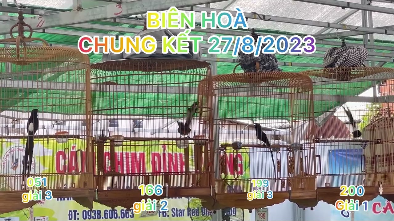 Chung kết 27/8/2023 sbd 166 về 2