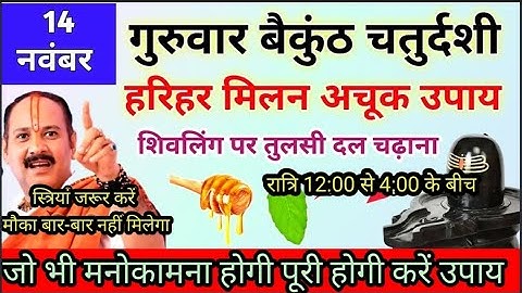 14 नवंबर बैकुंठ चतुर्दशी उपाय |1तुलसी पत्ता शिवलिंग पर समर्पित कर देना | pradeepmishraupay #चतुर्दशी