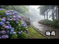 Hometown – rainy season | PixVerse V4.5
