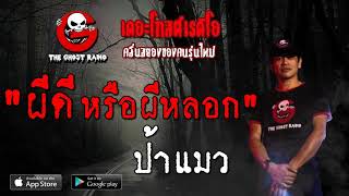 THE GHOST RADIO | ผีดี หรือผีหลอก | ป้าแมว | 2 พฤศจิกายน 2562 | TheGhostRadio ฟังเรื่องผีเดอะโกส