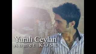 Ahmet Köse Yaralı Ceylan Resimi