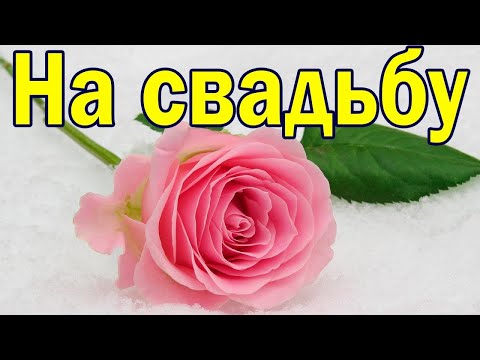 Невеста. Христианские Стихи на Свадьбу