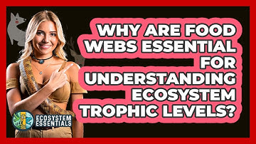 Why Are Food Webs Essential For Understanding Ecosystem Trophic Levels? - Ecosystem Essentials