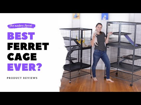 Best Ferret Cage REVIEW: Ferret Nation vs. Feisty Ferret vs. Kaytee