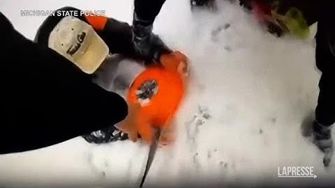 Michigan, un uomo cade in un lago ghiacciato: salvato grazie a Ruby, il suo cane