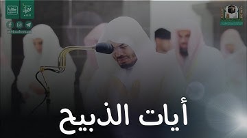 بكى وأبكى الجميع الشيخ د. ياسر الدوسري يتلوا تلاوة خالدة من سورة الصافات 1441هـ