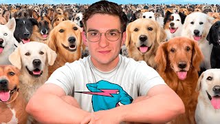 ЭВЕЛОН СМОТРИТ MRBEAST: Я Нашел Дом 100 Собакам! / EVELONE РЕАКЦИЯ