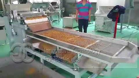 Peanut Particle Cutter Machine|Dried Fruits Cutting Machine From cara@machinehall.com