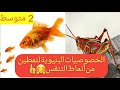 الخصوصيات البنيوية لنمطين من أنماط التنفس السنة الثانية متوسط