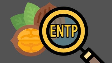 Types in a nutshell: ENTP