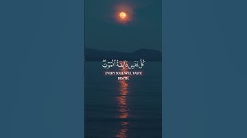 كل نفس ذائقة الموت | تلاوة خاشعة مؤثرة | أنس شهاب سورة العنكبوت.