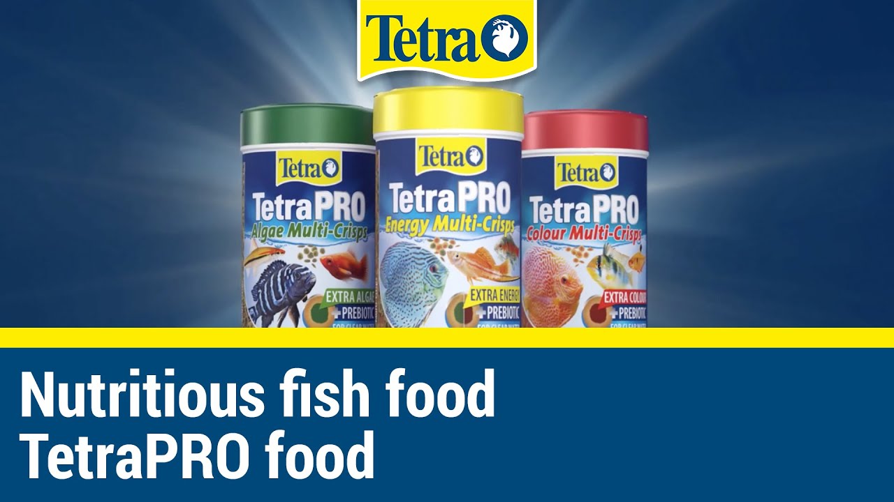 TetraPRO Color Multi Crisps – Premium Color feed with Prebiotics – Aqua  Discus India