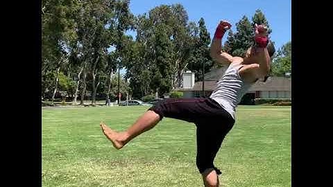 Thumbnail of Capoeira and Bokator Hybrid