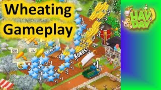 Hay Day 2019 - Wheating Gameplay!
