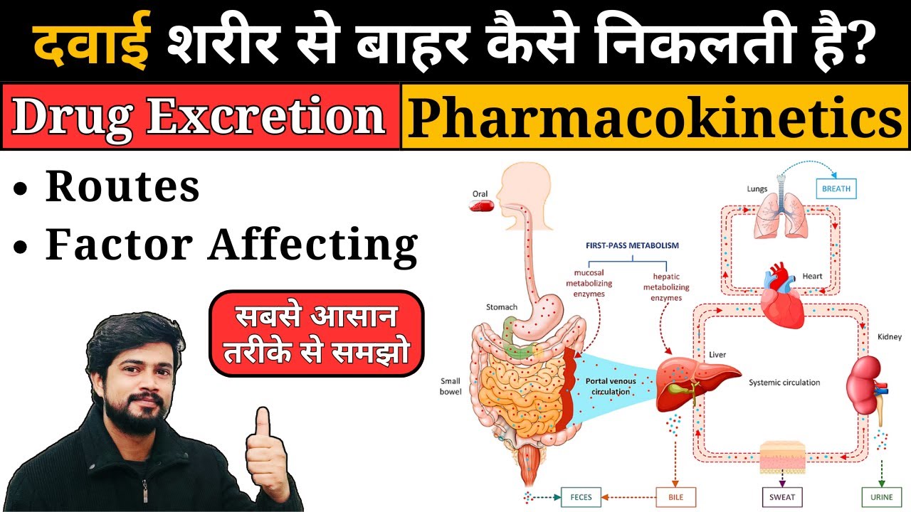 Excretion of Drugs || Pharmacokinetics || ADME || Pharmacology in Hindi ...
