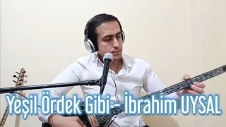 Yeşil Ördek Gibi Daldım Göllere - İbrahim Uysal Resimi