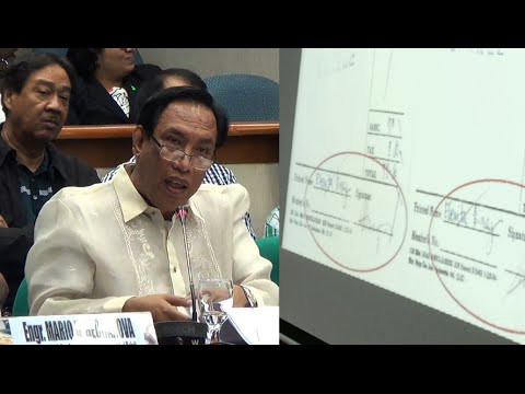 Binay wife, daughter signed billing statements for Tagaytay property—witness