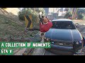 A Collection Of Moments | GTA V |