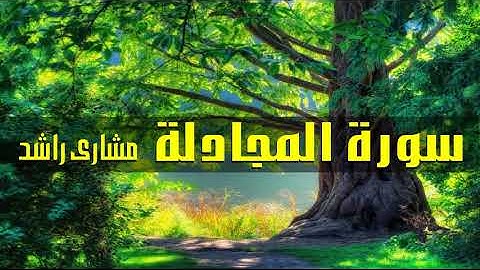 58 سورة المجادلة مشاري راشد حدر ( قراءة سريعة للحفظ والمراجعة )